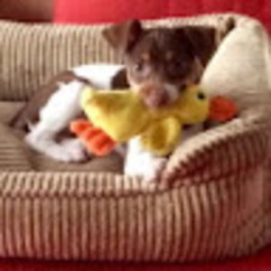 Meet your Posher, Stephen